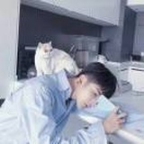 慧心