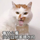 孩子没了
