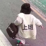 专业搬砖工