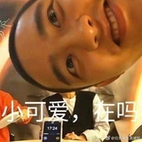 mr。dt