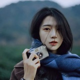 森林明月和星河