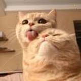 戚