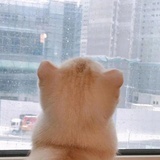 看什么看