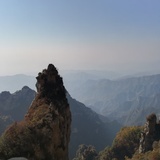 清清