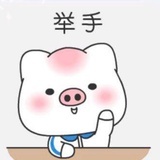 小6老6