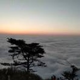 微露星辰