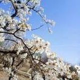 愿多年以后😁^O^