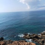 小虫臭臭2006