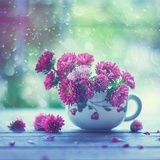 镜花水月