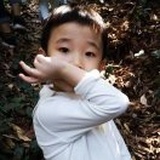 lu萍