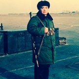 小白杨