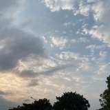 你開心嗎