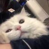 开天辟地