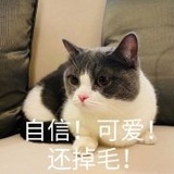 噫地鸡毛