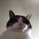toki