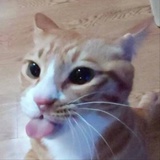 焦虑冰砖