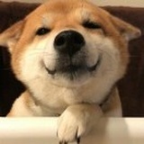 戴悦