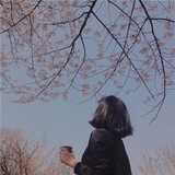 漂浮宇宙