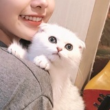 小熊硬糖