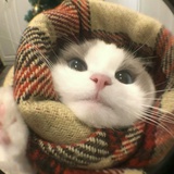橘汁儿