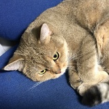 Howtoomail