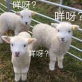 水泥封心