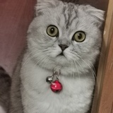 豆友213562686