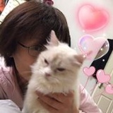 屎待拉的猫舍