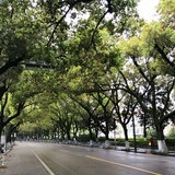 林道蕴