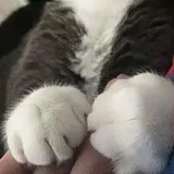 豆友213611010