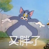 第7天