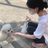 写满了我就哭