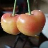 风吹落了记忆
