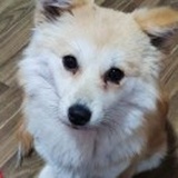 心宁