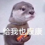 怀山药