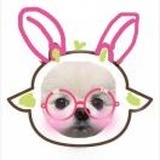 爱奶糖的泡泡鱼