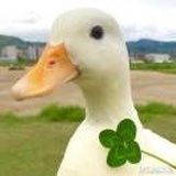 一苇以航