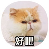 呼呼