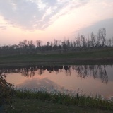 yz123456