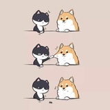 禾子集