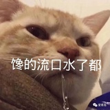 一只hui🐷