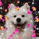 小野酒