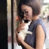 A.🐈喵の屋🐈