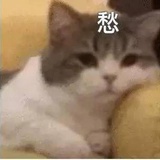 是001