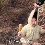 奔波霸霸波奔