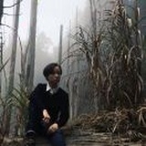 苍帜