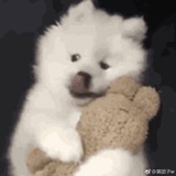 Deserve_