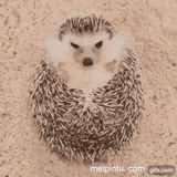 267