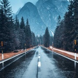 只有阳光无风雨