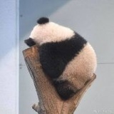 梦见彩虹糖